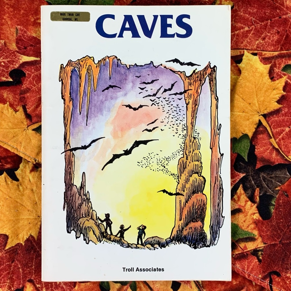 A Dark Dark Tale and Caves Book Set. - Picture 10 of 14